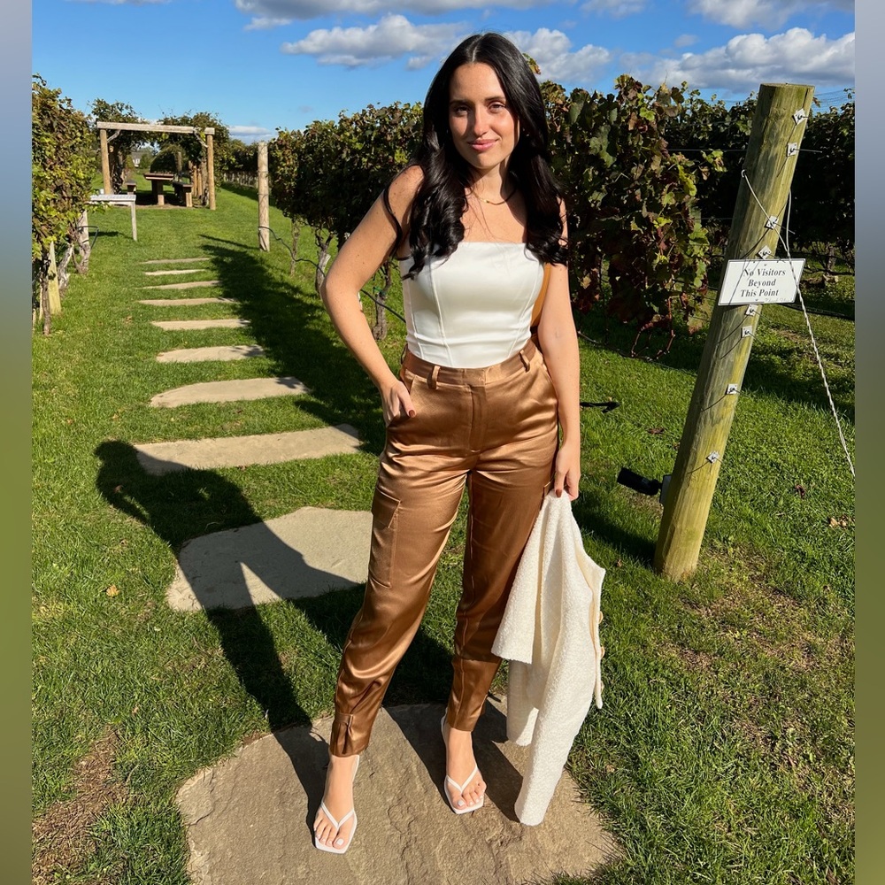 Aritzia Babaton Elegant Brown Satin Pants